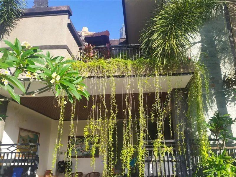 Oyo 3912 Wahyu Residence Bali 丹帕沙 外观 照片